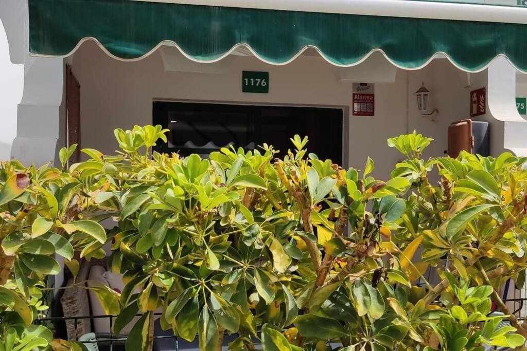 Raga Home - Bungalow With Swimming Pool In Maspalomas 马斯帕洛马斯 外观 照片